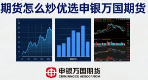 期货怎么炒优选申银万国期货 新手入门指南与正规平台选择_https://wenchangxx.com_期货交易平台_第1张